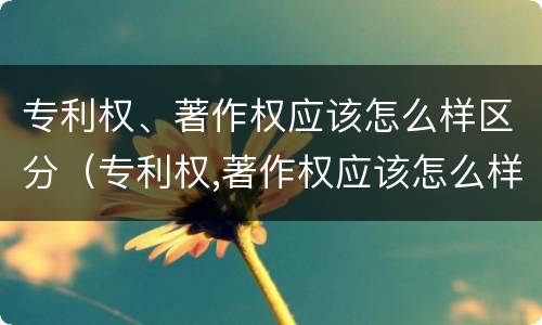 专利权、著作权应该怎么样区分（专利权,著作权应该怎么样区分等级）