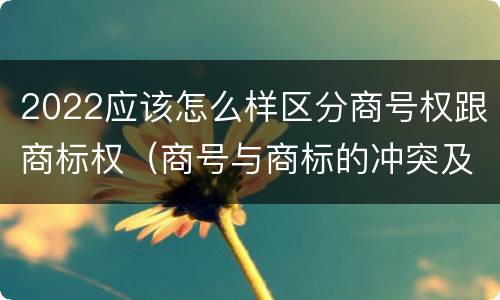 2022应该怎么样区分商号权跟商标权（商号与商标的冲突及解决措施）