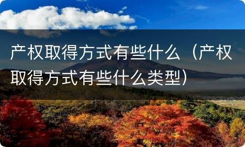 产权取得方式有些什么（产权取得方式有些什么类型）