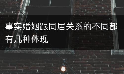 事实婚姻跟同居关系的不同都有几种体现