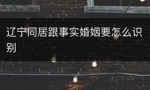 辽宁同居跟事实婚姻要怎么识别