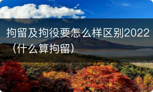 拘留及拘役要怎么样区别2022（什么算拘留）