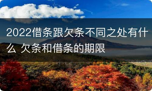 2022借条跟欠条不同之处有什么 欠条和借条的期限