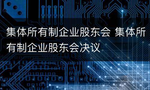 集体所有制企业股东会 集体所有制企业股东会决议