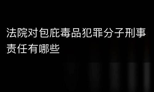 法院对包庇毒品犯罪分子刑事责任有哪些