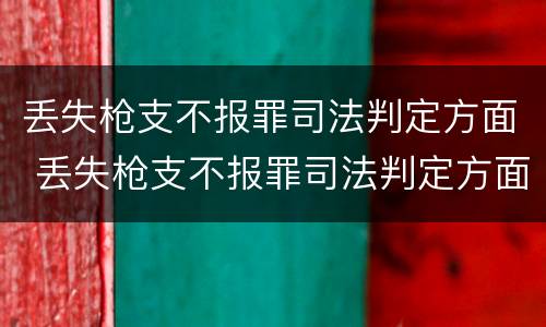 丢失枪支不报罪司法判定方面 丢失枪支不报罪司法判定方面有哪些