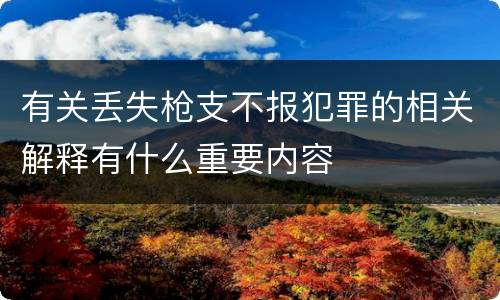 有关丢失枪支不报犯罪的相关解释有什么重要内容