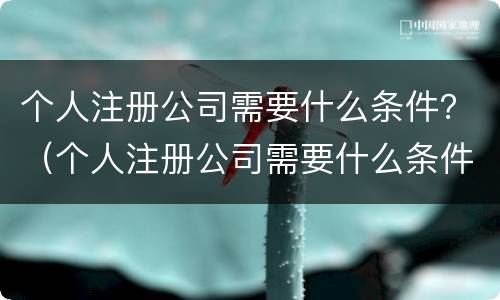 个人注册公司需要什么条件？（个人注册公司需要什么条件和资质）