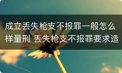 成立丢失枪支不报罪一般怎么样量刑 丢失枪支不报罪要求造成了严重后果的才构成犯罪