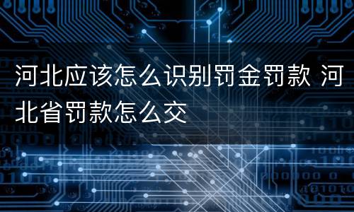 河北应该怎么识别罚金罚款 河北省罚款怎么交