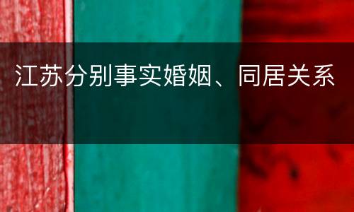 江苏分别事实婚姻、同居关系