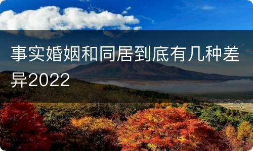 事实婚姻和同居到底有几种差异2022