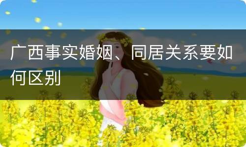 广西事实婚姻、同居关系要如何区别