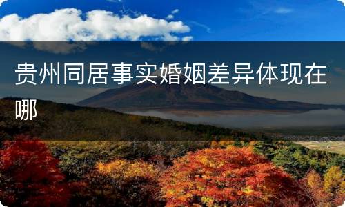 贵州同居事实婚姻差异体现在哪