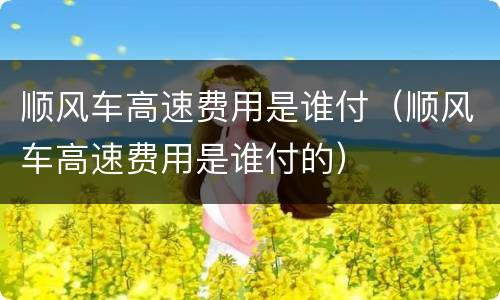 顺风车高速费用是谁付（顺风车高速费用是谁付的）