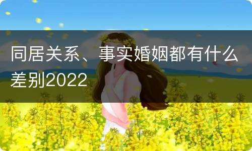同居关系、事实婚姻都有什么差别2022