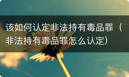该如何认定非法持有毒品罪（非法持有毒品罪怎么认定）