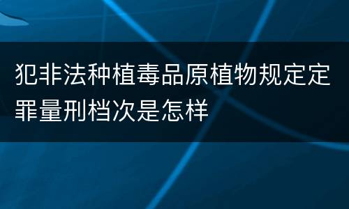 犯非法种植毒品原植物规定定罪量刑档次是怎样