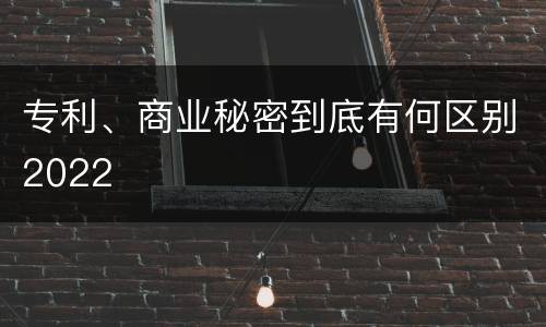 专利、商业秘密到底有何区别2022