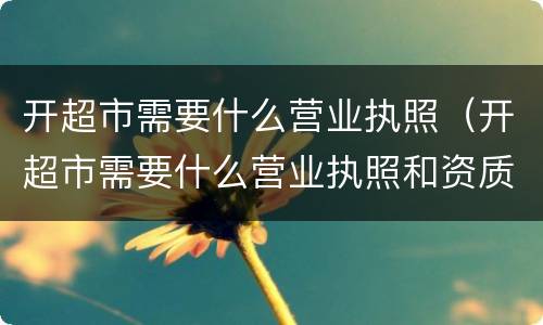开超市需要什么营业执照（开超市需要什么营业执照和资质）