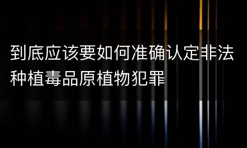 到底应该要如何准确认定非法种植毒品原植物犯罪