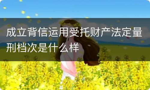 成立背信运用受托财产法定量刑档次是什么样