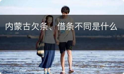内蒙古欠条、借条不同是什么
