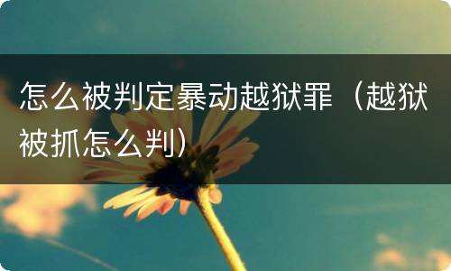 怎么被判定暴动越狱罪（越狱被抓怎么判）