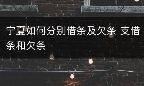 宁夏如何分别借条及欠条 支借条和欠条
