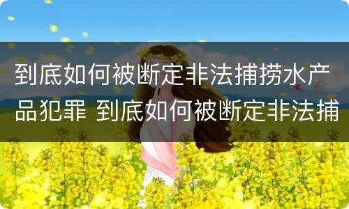 到底如何被断定非法捕捞水产品犯罪 到底如何被断定非法捕捞水产品犯罪案件