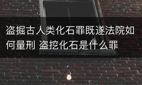 盗掘古人类化石罪既遂法院如何量刑 盗挖化石是什么罪