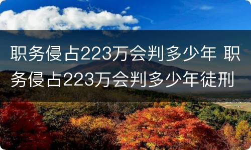 职务侵占223万会判多少年 职务侵占223万会判多少年徒刑