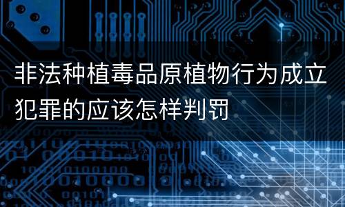 非法种植毒品原植物行为成立犯罪的应该怎样判罚
