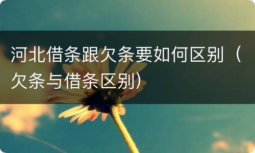 河北借条跟欠条要如何区别（欠条与借条区别）