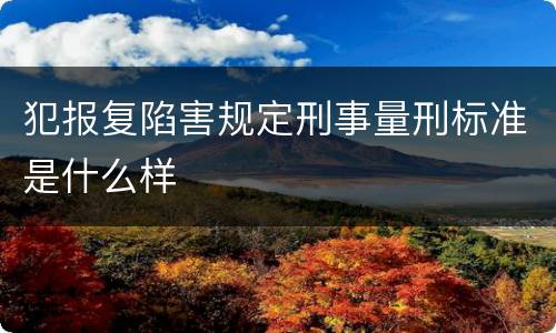 犯报复陷害规定刑事量刑标准是什么样
