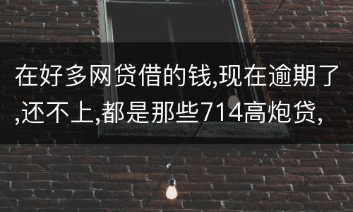在好多网贷借的钱,现在逾期了,还不上,都是那些714高炮贷,征信上也没有
