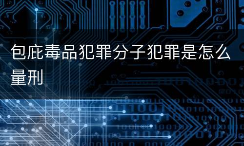 包庇毒品犯罪分子犯罪是怎么量刑