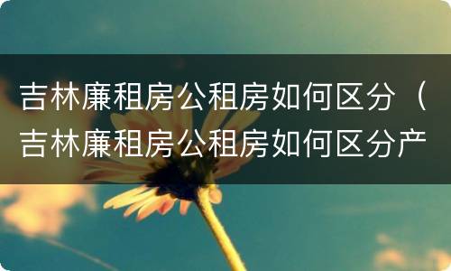 吉林廉租房公租房如何区分（吉林廉租房公租房如何区分产权）
