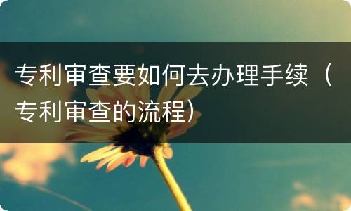 专利审查要如何去办理手续（专利审查的流程）
