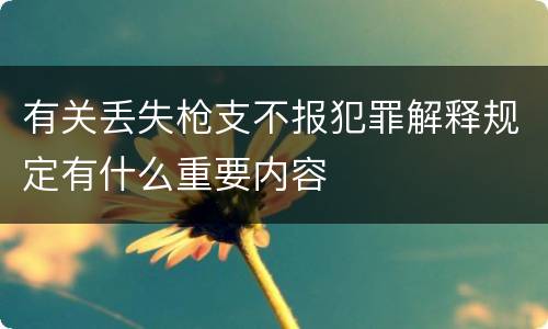 有关丢失枪支不报犯罪解释规定有什么重要内容