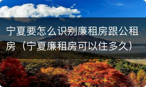 宁夏要怎么识别廉租房跟公租房（宁夏廉租房可以住多久）