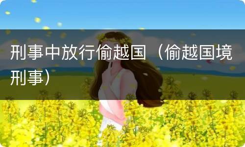 刑事中放行偷越国（偷越国境刑事）