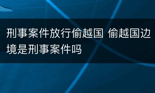 刑事案件放行偷越国 偷越国边境是刑事案件吗