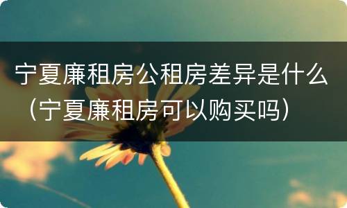 宁夏廉租房公租房差异是什么（宁夏廉租房可以购买吗）