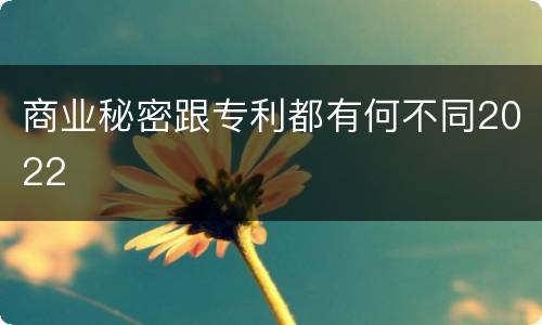商业秘密跟专利都有何不同2022