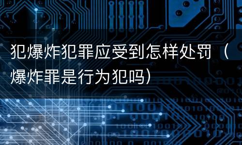 犯爆炸犯罪应受到怎样处罚（爆炸罪是行为犯吗）