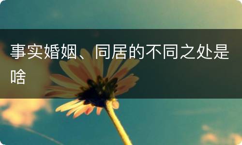 事实婚姻、同居的不同之处是啥