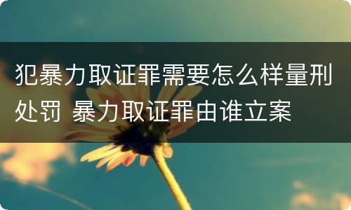 犯暴力取证罪需要怎么样量刑处罚 暴力取证罪由谁立案