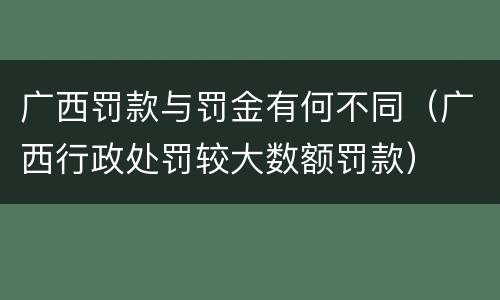 广西罚款与罚金有何不同（广西行政处罚较大数额罚款）