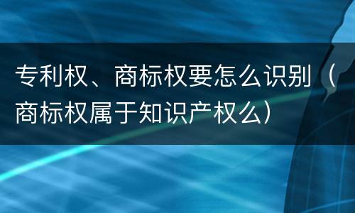 专利权、商标权要怎么识别（商标权属于知识产权么）